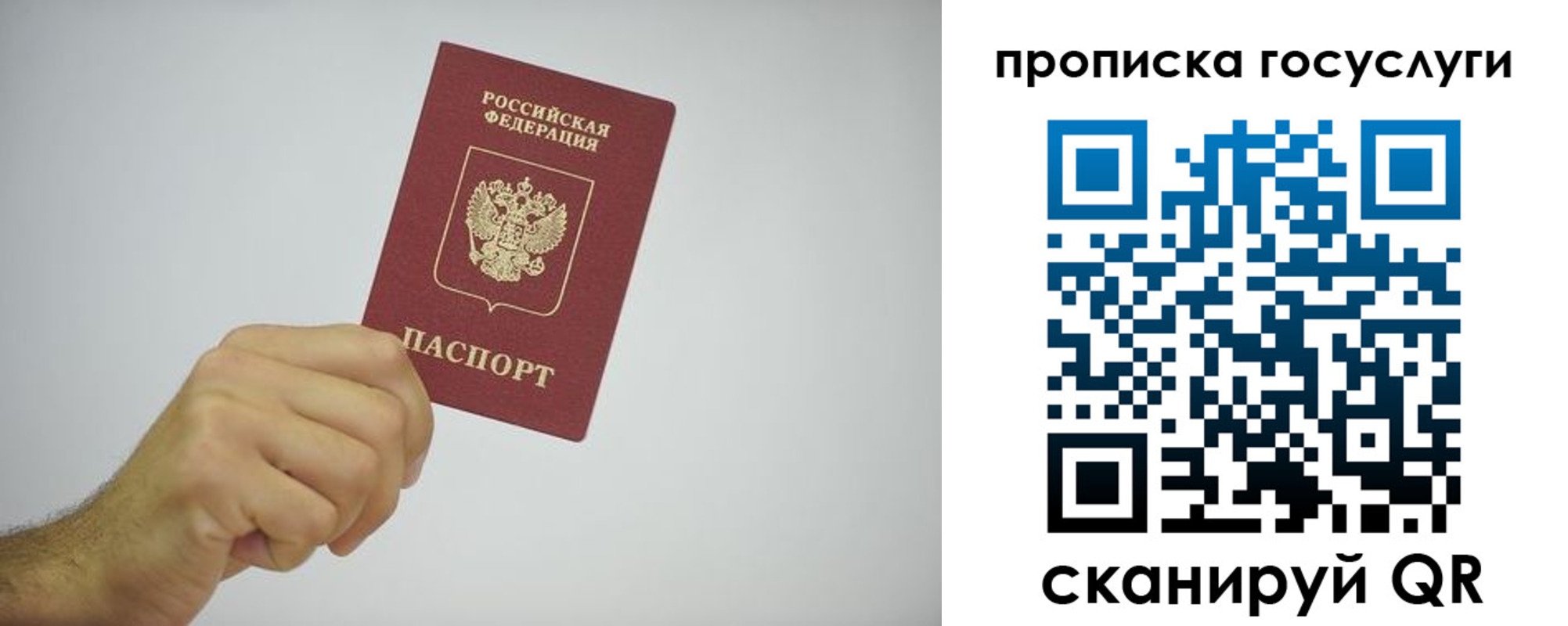 прописка законно в Лесном
